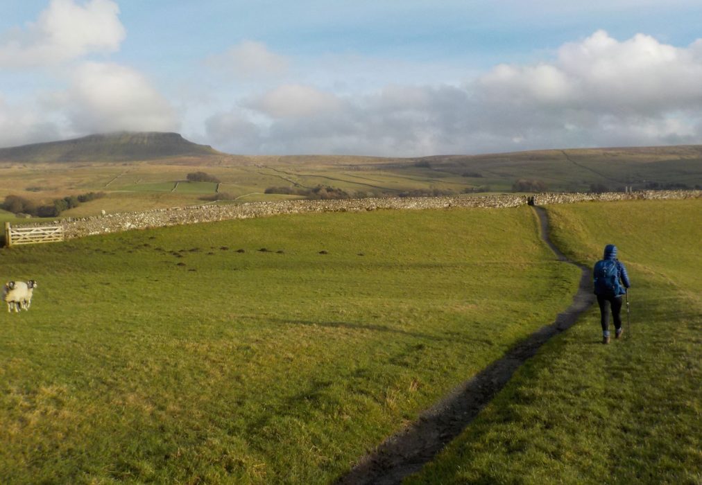 approaching horton