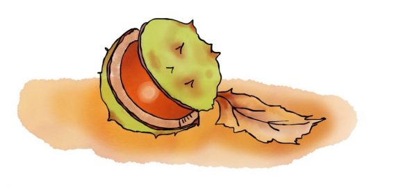 conker