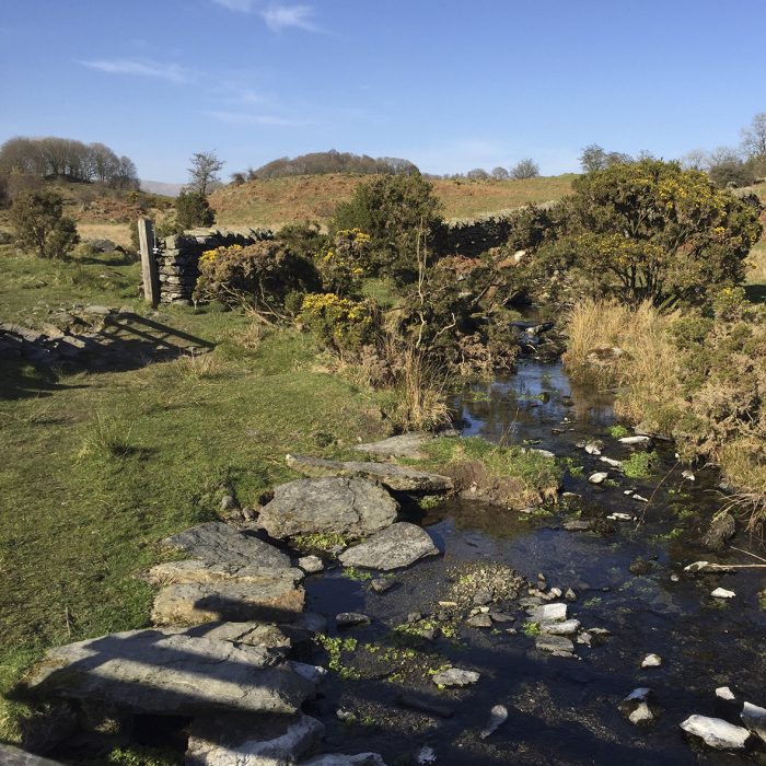 Near the Dales Way, Windermere Cumbria