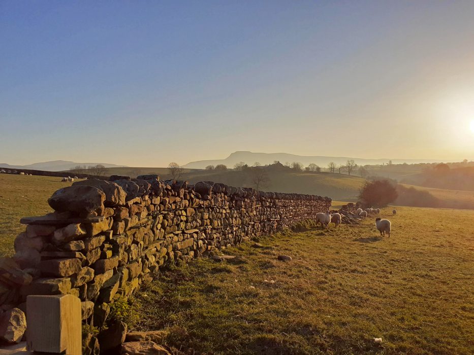 Yorkshire Dales at dawn