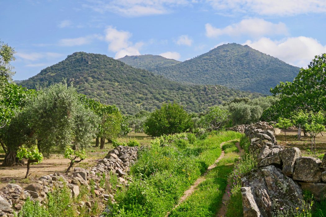 Cancho Blanco and Cerro San Cristobal in Extremadura