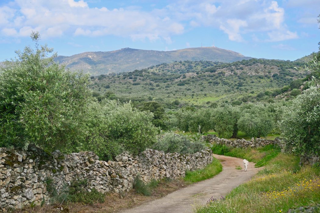 Views of the Sierra de Montanche in Extremadura