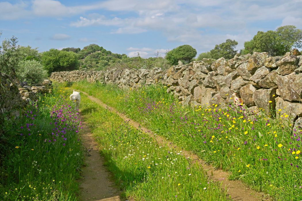 Jack and track to stream Extremadura