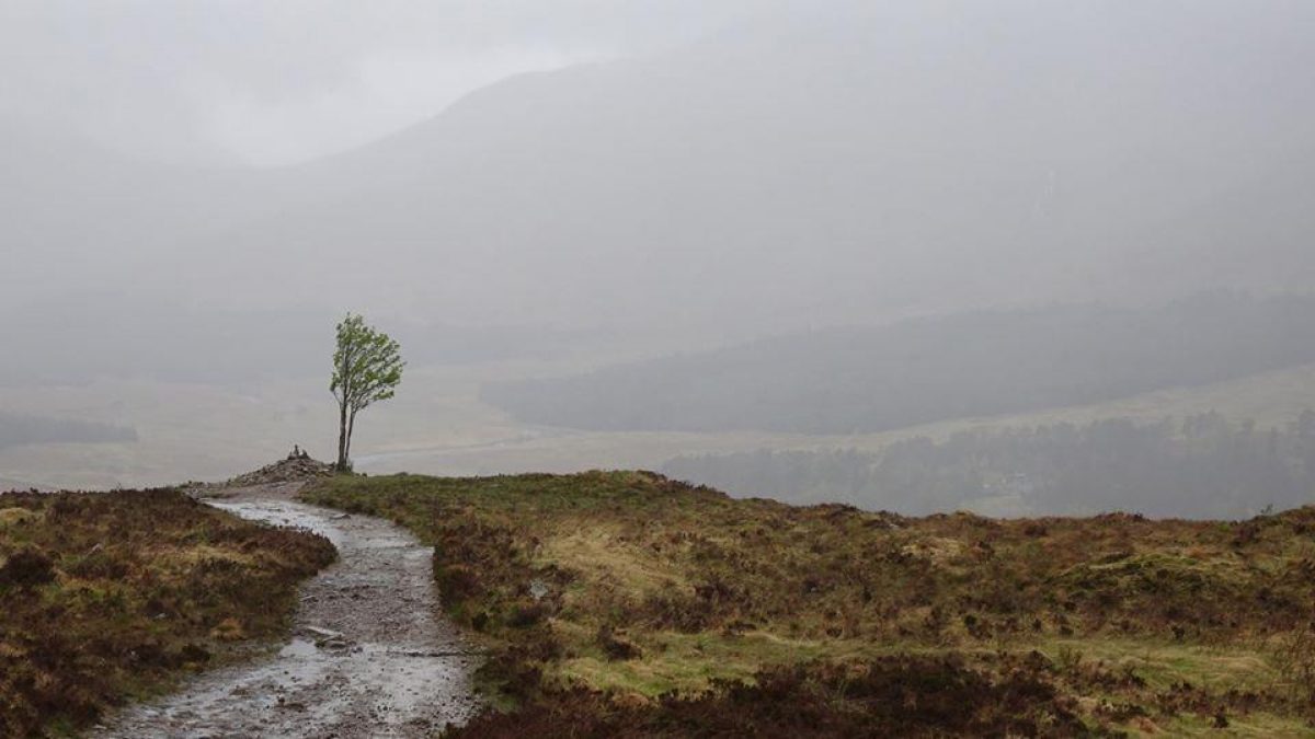 Charles Polidano: West Highland Way, May 2017, using the Cicerone guide.