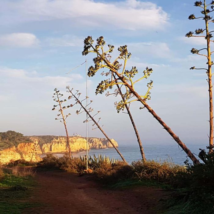 Alison Glennon The Algarve book was updated just before our visit at Xmas 19. Brilliant coastal walking plus some hills