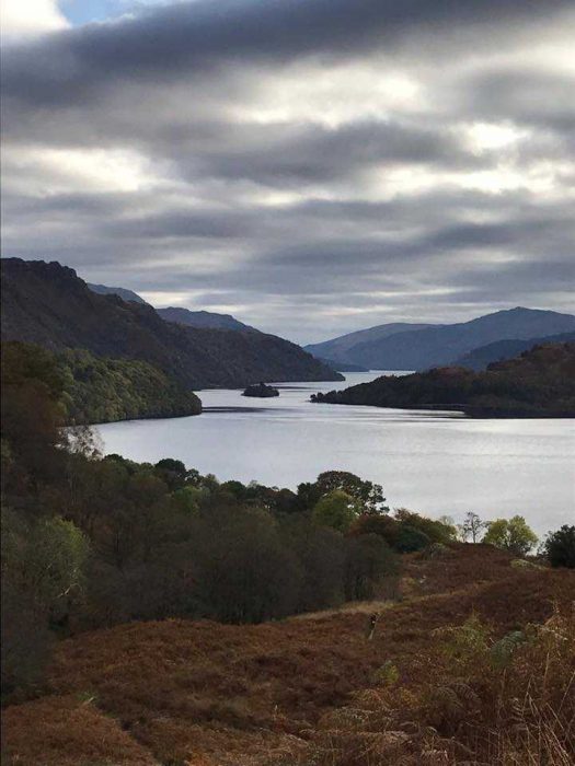 Heather The West Highland Way