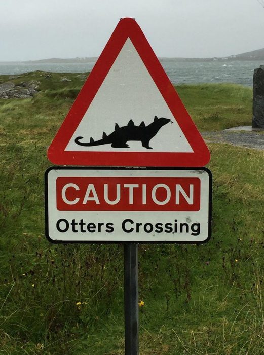 Scary Scottish otters.
