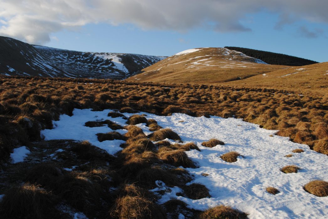 Queen's Mire below Cauldcleuch Head