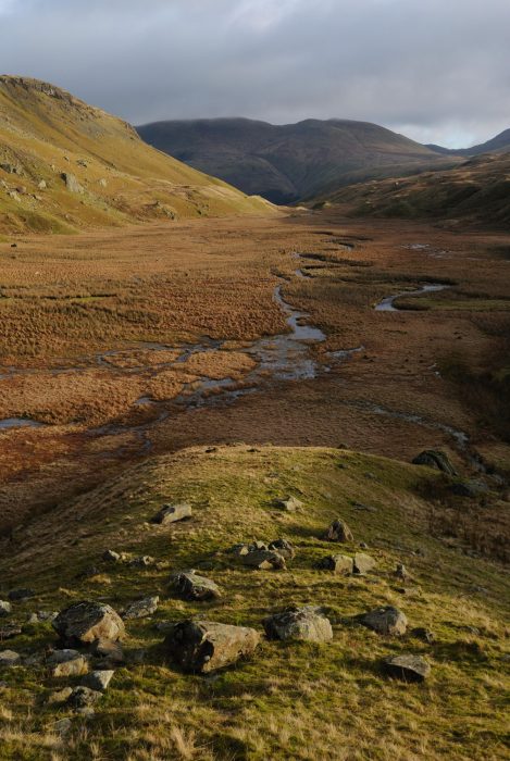 The Bog, Wythburn, has to be the bed of a former tarn