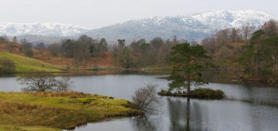 Lakedistrictearlyspring N