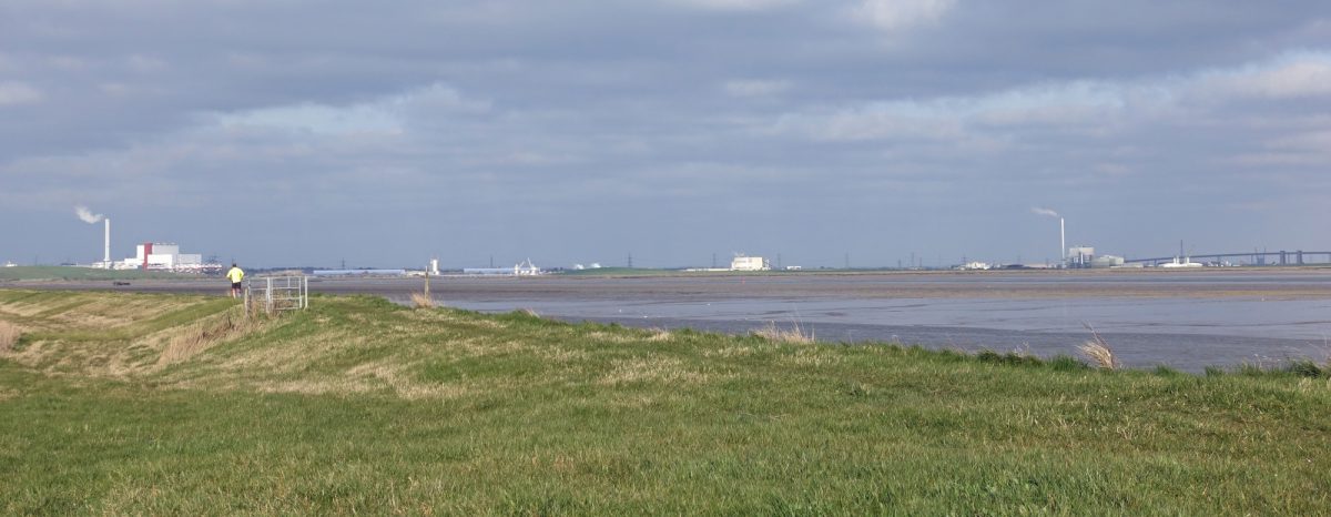10 Runner and Swale crossings