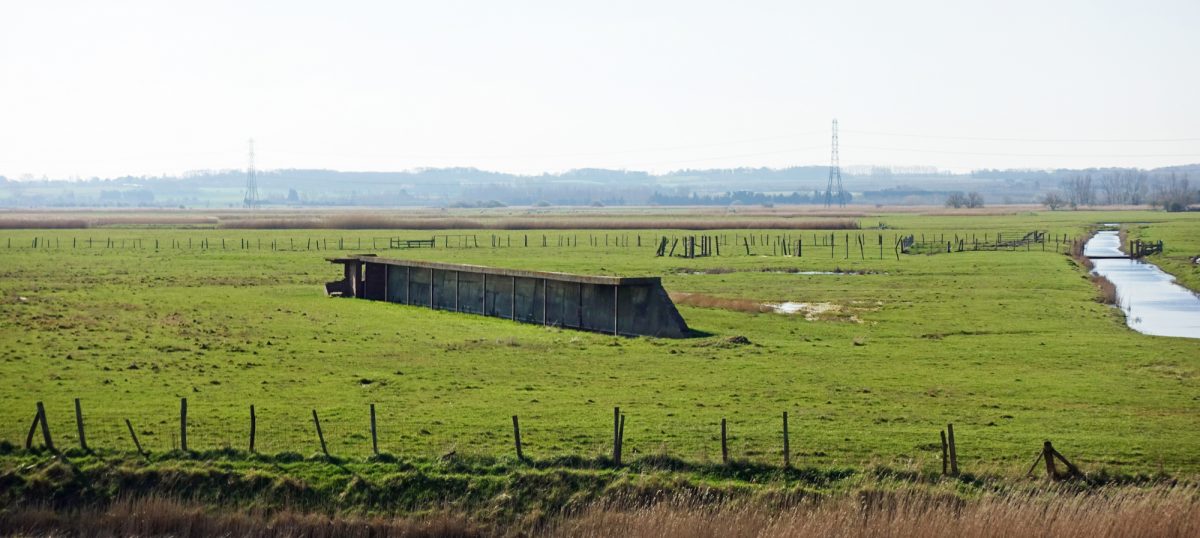 Remnant of old rifle range
