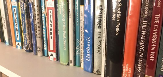 Bookshelves