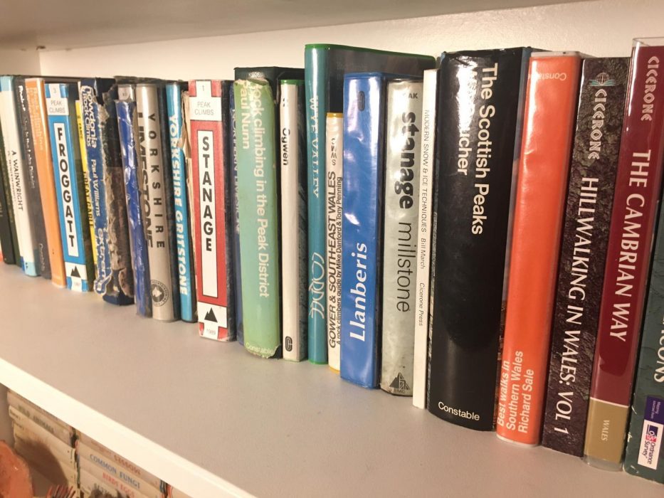 Bookshelves