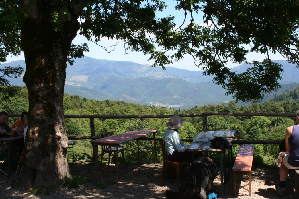 Coffee On The Terrace Belacker Farm Gr5