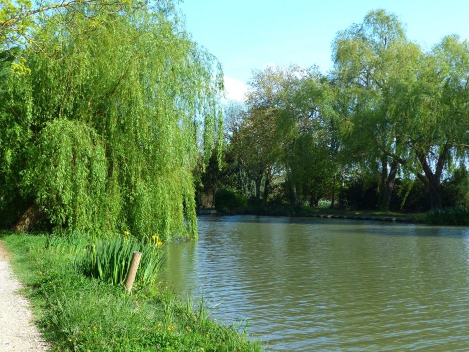 The Canal Is Tranquil For Most Of Its Length