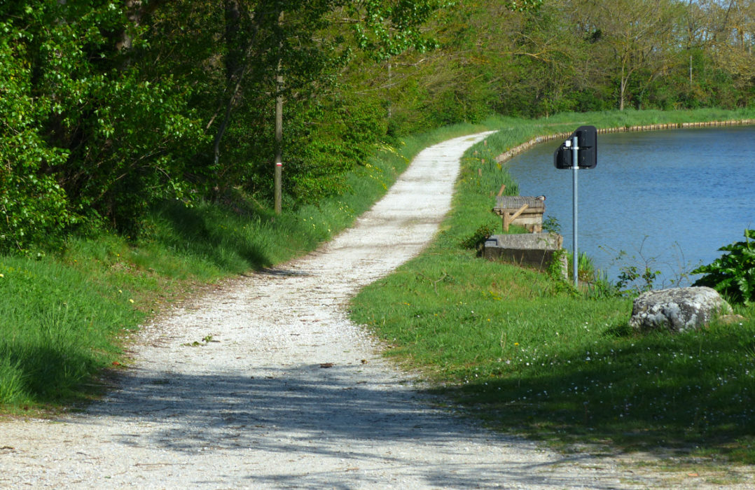 The Path Varies In Quality