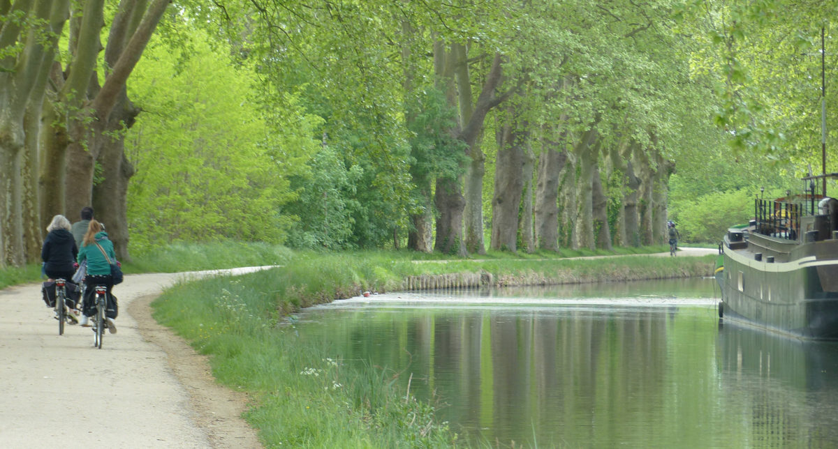 There Are Plenty Of Very Straightforward Cycles Along The Canal
