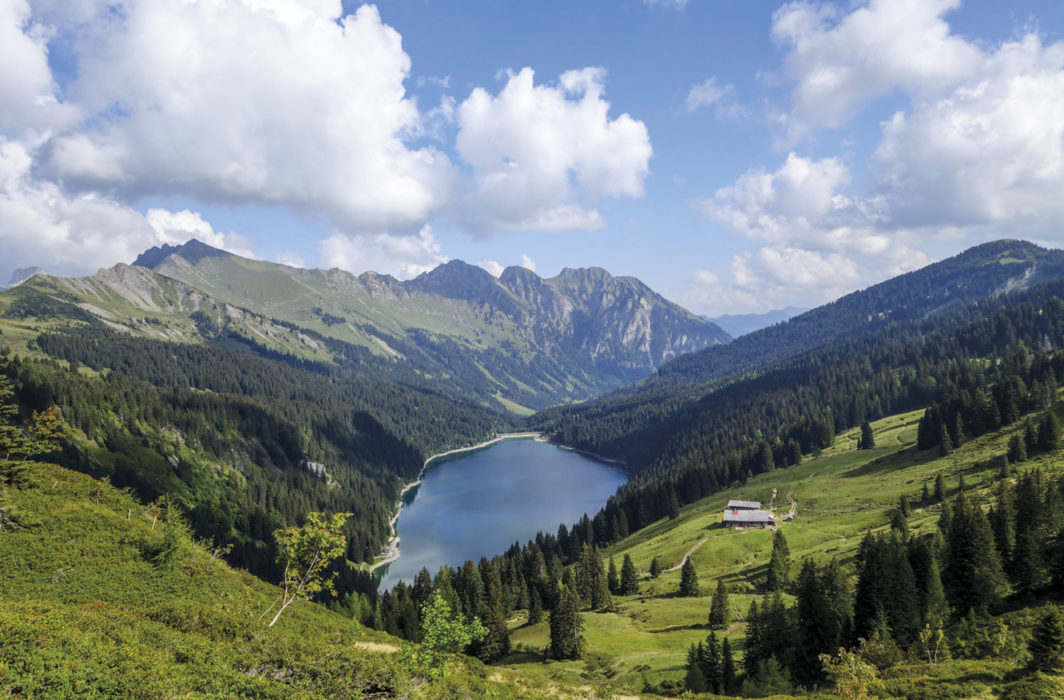 Above Lac De L Hongrin
