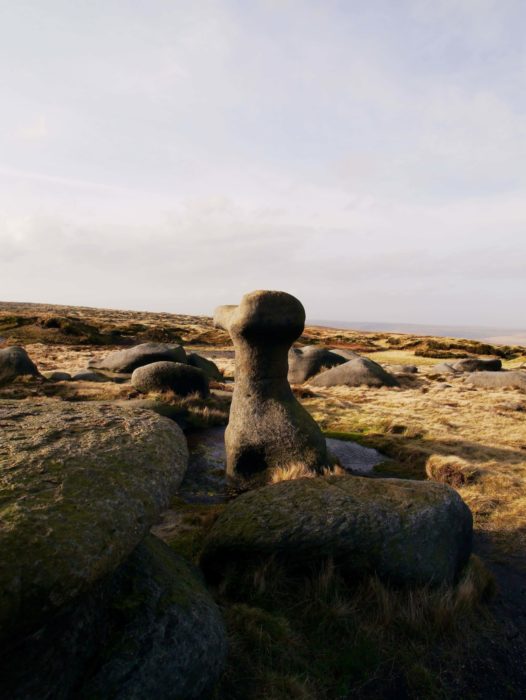 Artistic Gritstone On Bleaklow