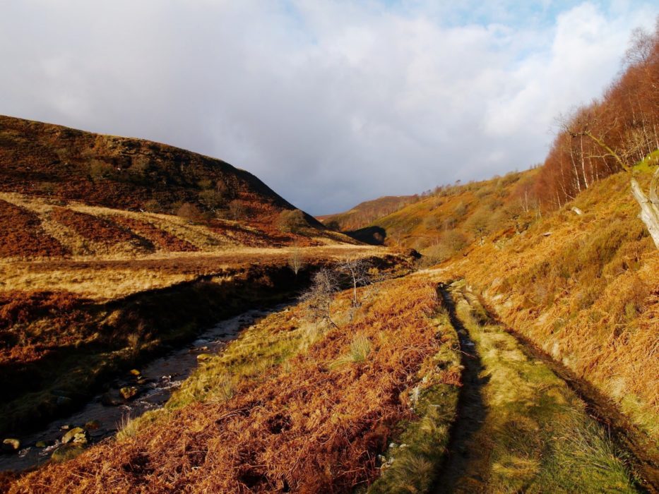 Landside Clough In The Upper Derwent Valley