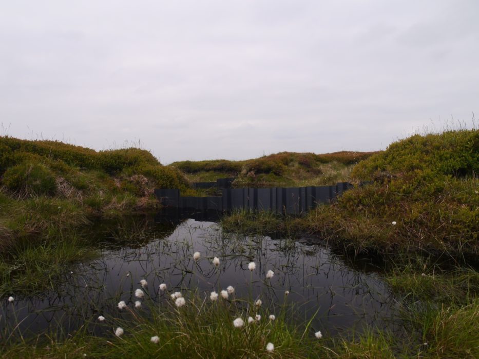 One Of The Thousands Of Dams Blocking Moorland Goughs To Regenerate The Peat Bog