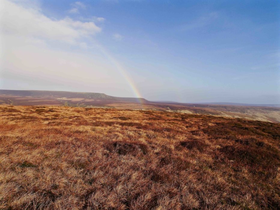 Westend Moor Looking To Bleaklow A Typical Dark Peak Moorland Scene