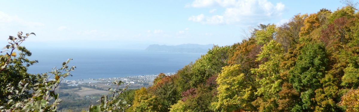 Beautiful Autumnal Colours While Climbing Mount Usu Zan