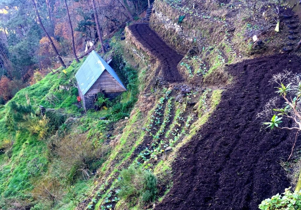 The Steep Sided Fertile Valleys Were Cultivated In Terraces