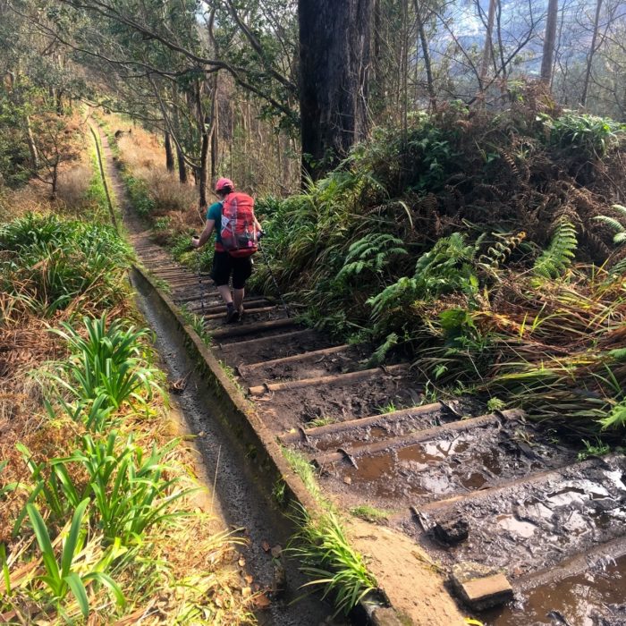 A Long Flight Of Log Steps Led Us Down To Portela