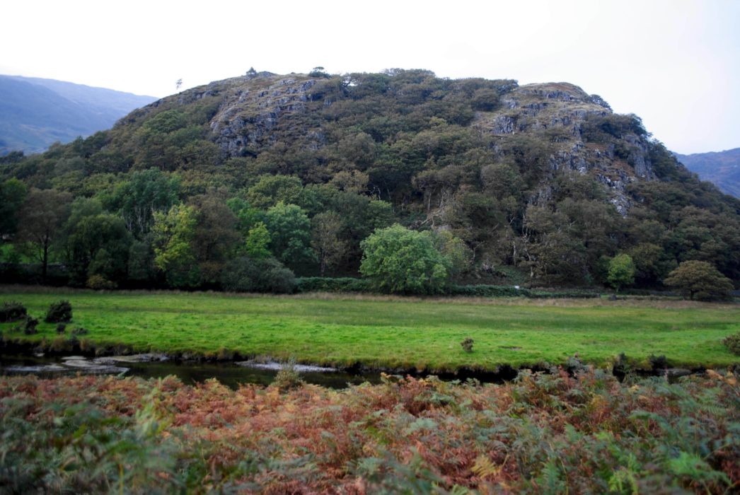 Dinas Emrys The Hill Where Merlin Uncovers The Red And White Dragons