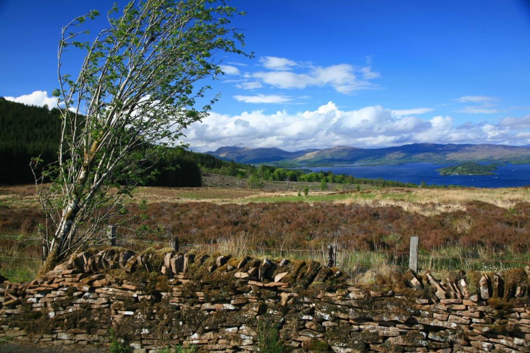 Loch Lomond From Near Ben Bowie