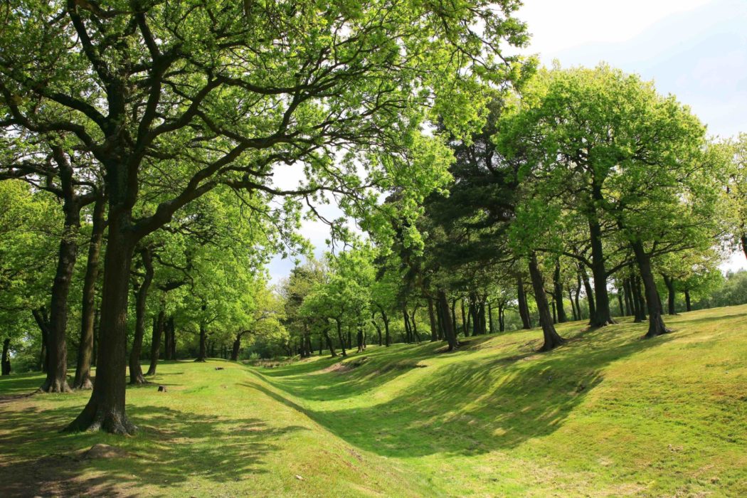 Antonine Wall Near Falkirk