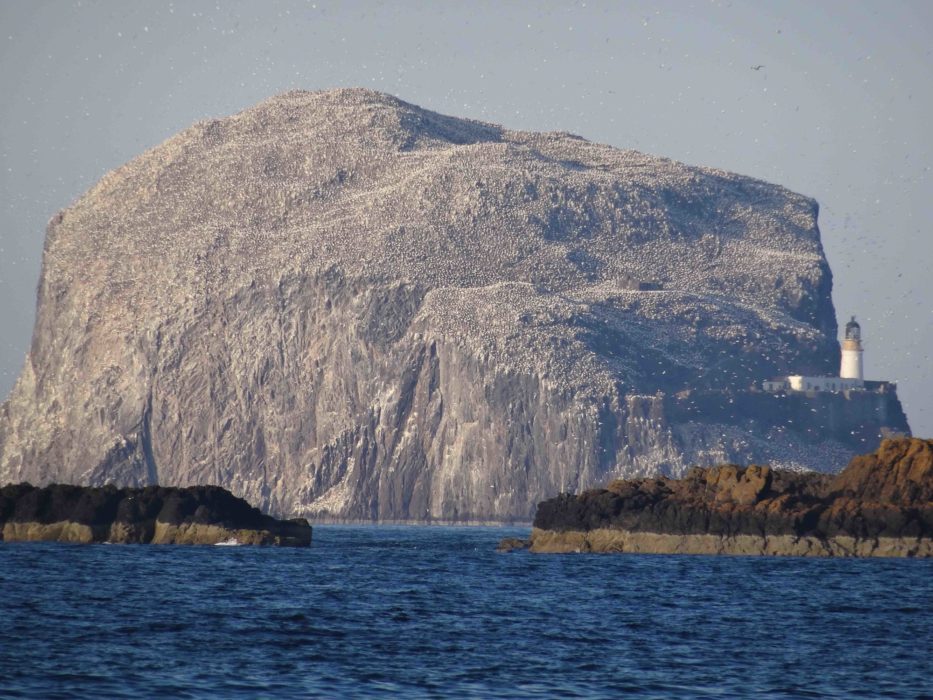 Bass Rock
