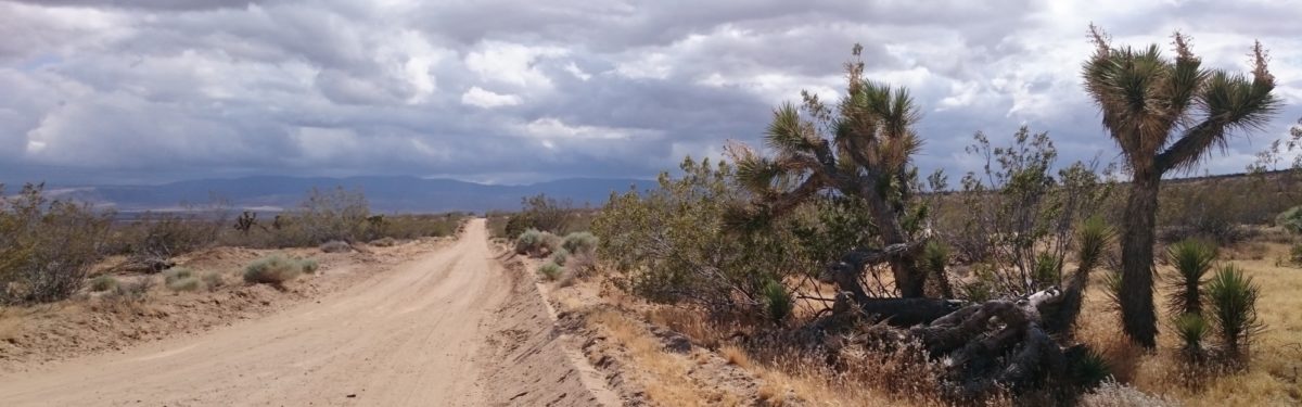 Mojave Desert Hiking The Pct