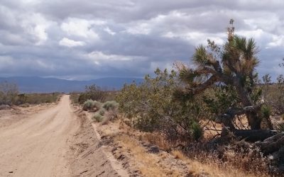 Mojave Desert Hiking The Pct