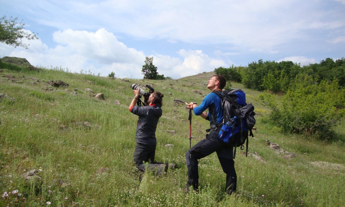 Adam And Alex Filming Griffon Vultures