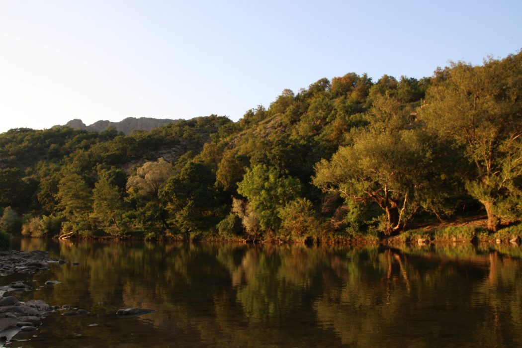 The Arda River Before Madzharovo In Bulgaria
