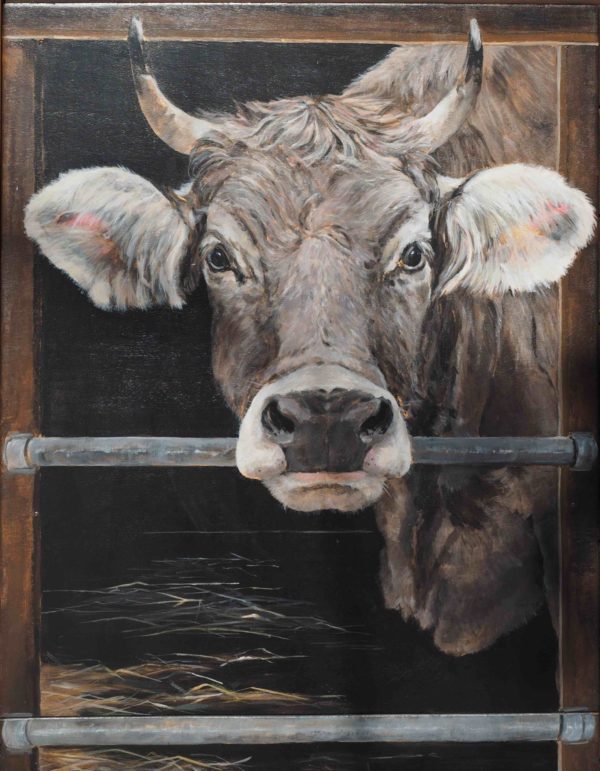 Alpine Cow In Switzerland