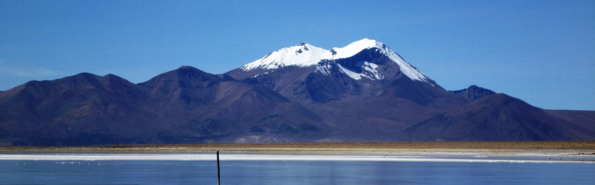 Flamingoes In Chile Salar De Surire