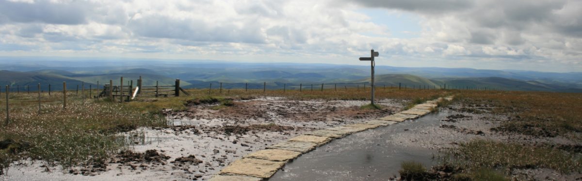 Pennine Way Spur To Cheviot Summit
