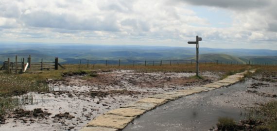 Pennine Way Spur To Cheviot Summit
