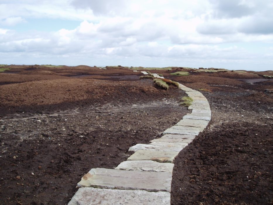 Black Hill On The Pennine Way In 2004
