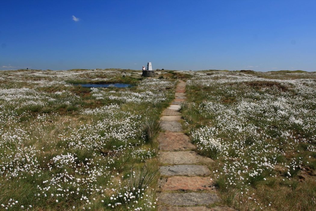 Summit Of Black Hill On The Pennine Way