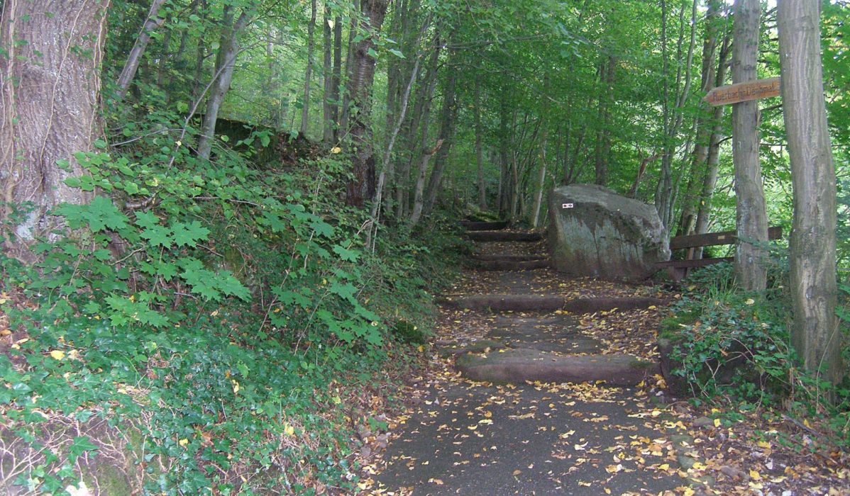 Hiking Through The Forest Of The Westweg In Germany