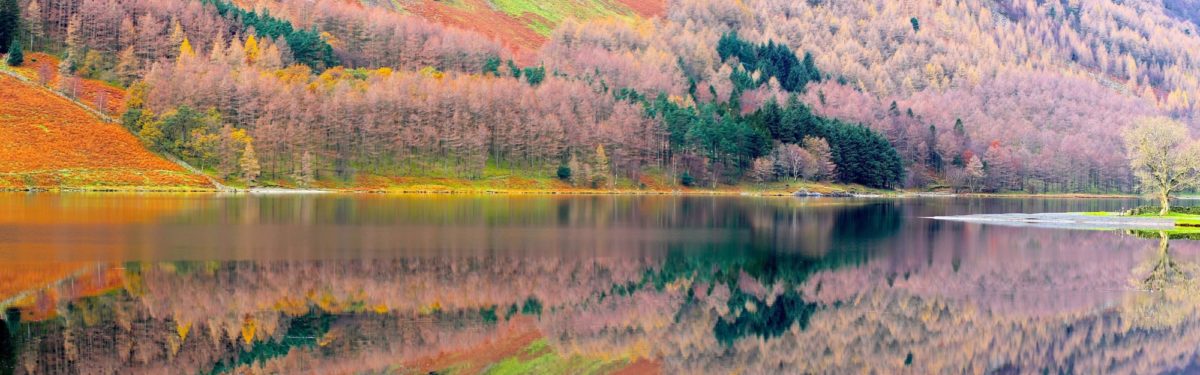 Autumn In The Lake District