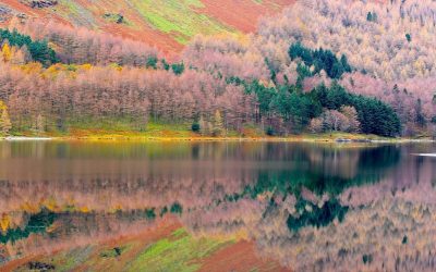 Autumn lakeshore In The Lake District