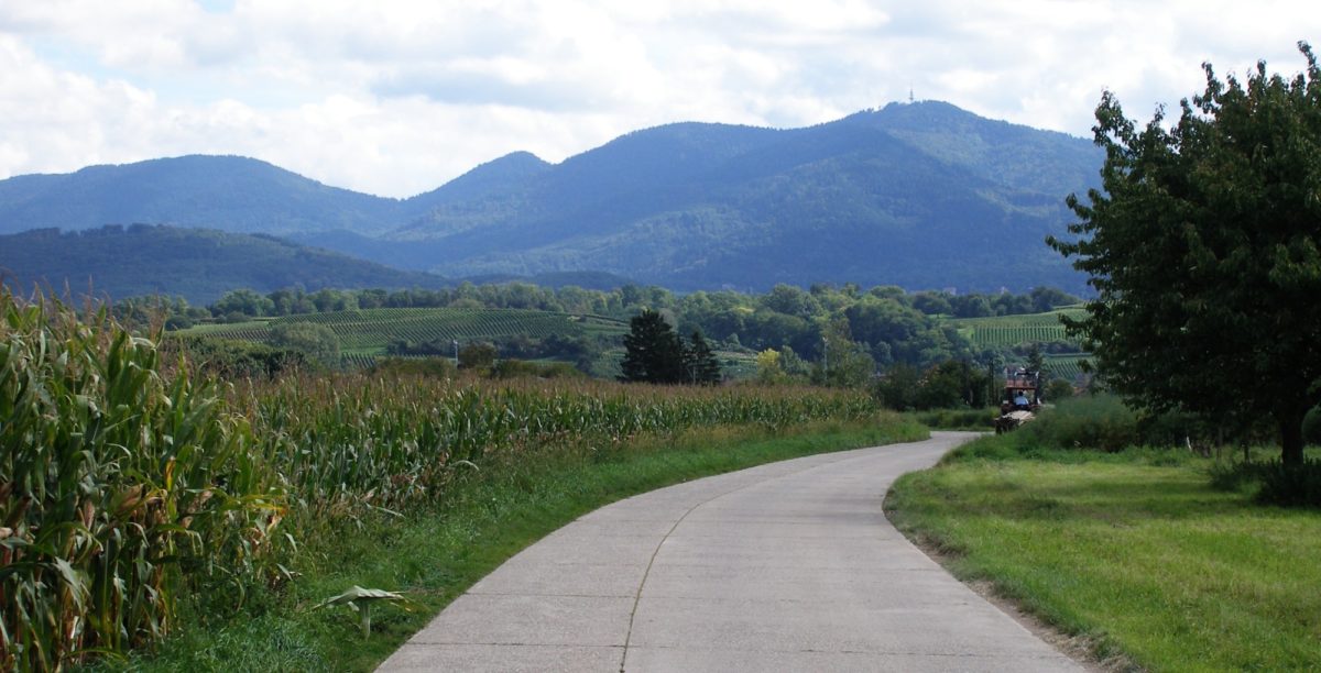 Along The Rhine Route Near Istein