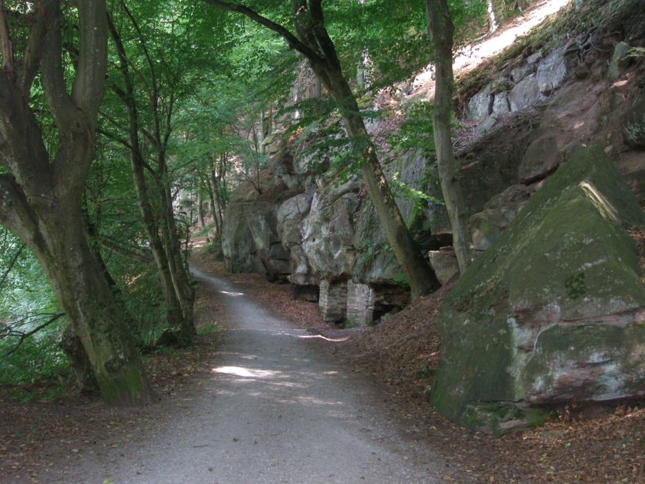 Cycling In Germany