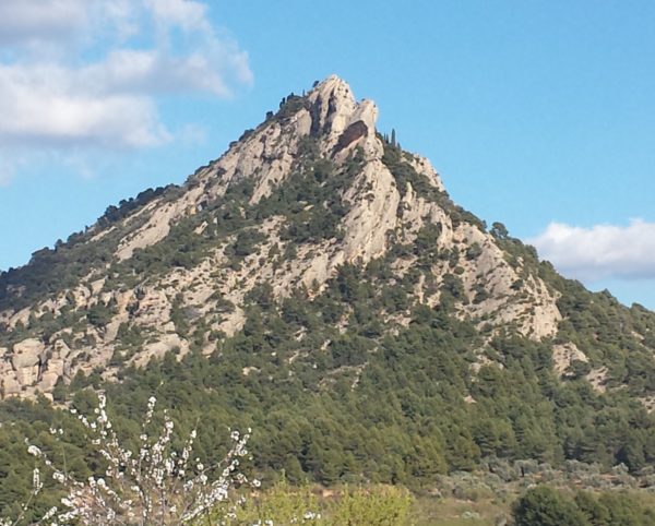 Horta De San Joan1